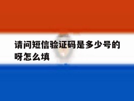 请问短信验证码是多少号的呀怎么填