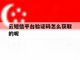 云短信平台验证码怎么获取的呢