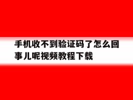 手机收不到验证码了怎么回事儿呢视频教程下载