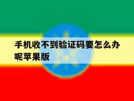 手机收不到验证码要怎么办呢苹果版