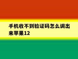 手机收不到验证码怎么调出来苹果12