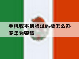 手机收不到验证码要怎么办呢华为荣耀