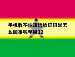 手机收不住短信验证码是怎么回事呢苹果12