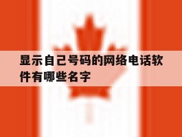 显示自己号码的网络电话软件有哪些名字
