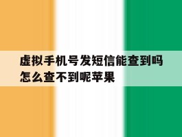 虚拟手机号发短信能查到吗怎么查不到呢苹果