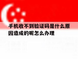 手机收不到验证码是什么原因造成的呢怎么办理