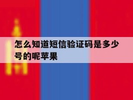 怎么知道短信验证码是多少号的呢苹果