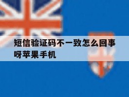 短信验证码不一致怎么回事呀苹果手机