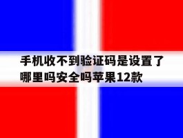手机收不到验证码是设置了哪里吗安全吗苹果12款