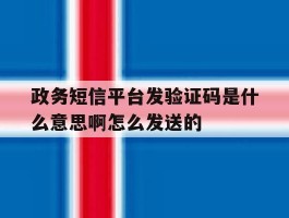 政务短信平台发验证码是什么意思啊怎么发送的