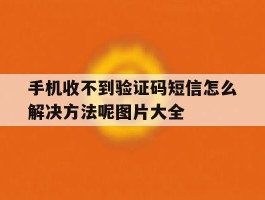 手机收不到验证码短信怎么解决方法呢图片大全
