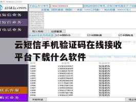 云短信手机验证码在线接收平台下载什么软件