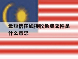 云短信在线接收免费文件是什么意思
