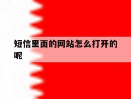 短信里面的网站怎么打开的呢