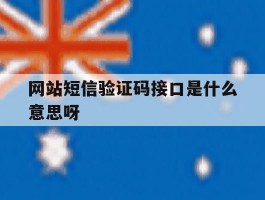 网站短信验证码接口是什么意思呀