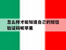 怎么样才能知道自己的短信验证码呢苹果