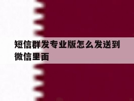 短信群发专业版怎么发送到微信里面
