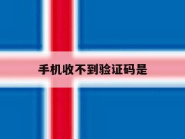 手机收不到验证码是
