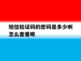 短信验证码的密码是多少啊怎么查看呢