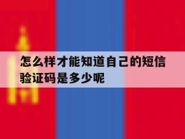 怎么样才能知道自己的短信验证码是多少呢