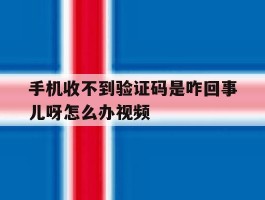 手机收不到验证码是咋回事儿呀怎么办视频