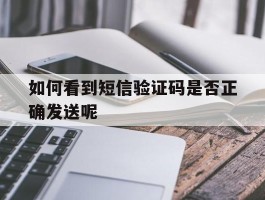 如何看到短信验证码是否正确发送呢