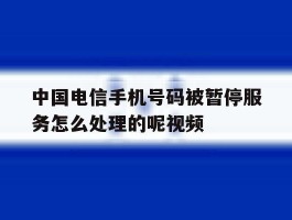 中国电信手机号码被暂停服务怎么处理的呢视频