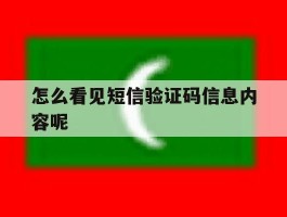 怎么看见短信验证码信息内容呢