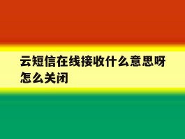 云短信在线接收什么意思呀怎么关闭