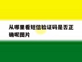 从哪里看短信验证码是否正确呢图片