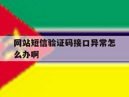 网站短信验证码接口异常怎么办啊