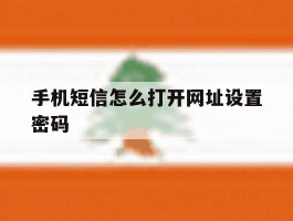 手机短信怎么打开网址设置密码