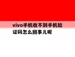 vivo手机收不到手机验证码怎么回事儿呢