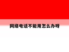 网络电话不能用怎么办呀