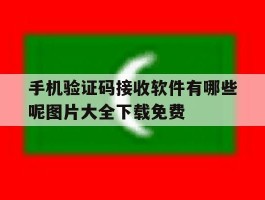 手机验证码接收软件有哪些呢图片大全下载免费