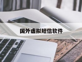 国外虚拟短信软件