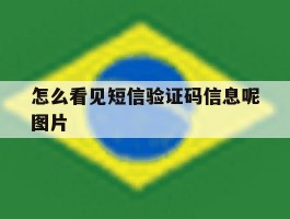 怎么看见短信验证码信息呢图片