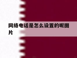 网络电话是怎么设置的呢图片
