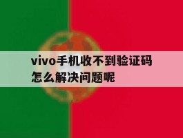 vivo手机收不到验证码怎么解决问题呢