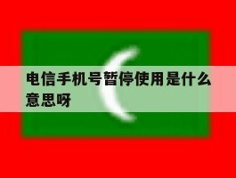 电信手机号暂停使用是什么意思呀