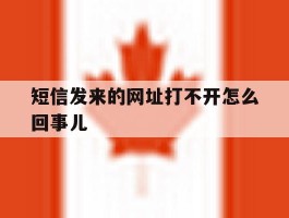 短信发来的网址打不开怎么回事儿