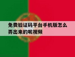 免费验证码平台手机版怎么弄出来的呢视频