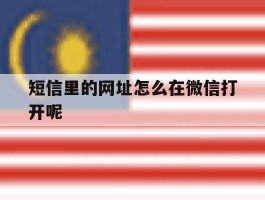 短信里的网址怎么在微信打开呢