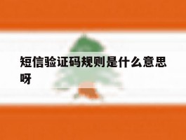 短信验证码规则是什么意思呀