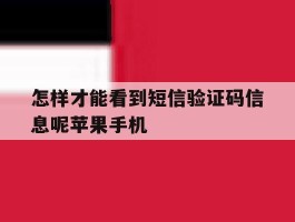 怎样才能看到短信验证码信息呢苹果手机