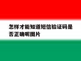 怎样才能知道短信验证码是否正确呢图片