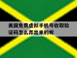 美国免费虚拟手机号收取验证码怎么弄出来的呢