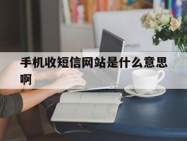 手机收短信网站是什么意思啊