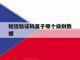 短信验证码属于哪个级别数据
