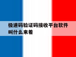 极速码验证码接收平台软件叫什么来着